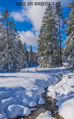 शायद हम समझदार न हुए