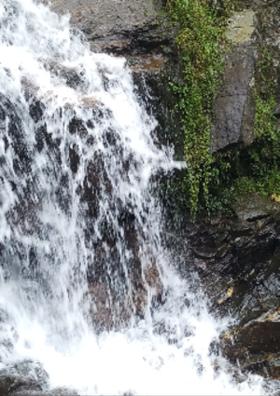 রক গার্ডেন