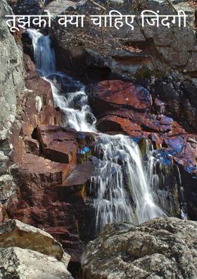 तूझको क्या चाहिए जिंदगी
