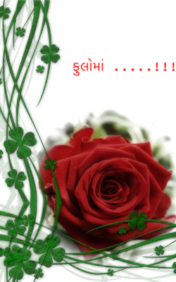 ફુલોમાં