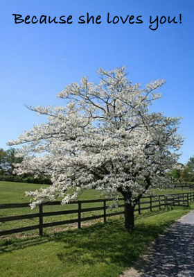 Because she loves you!