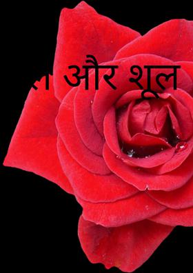 फूल और शूल