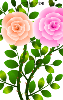 यादों का आईना