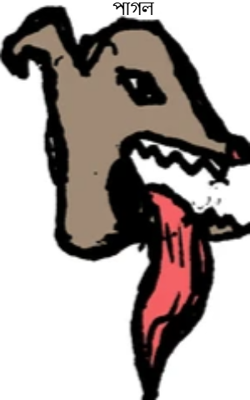 পাগল 