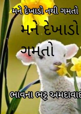 મને દેખાડો નથી ગમતો