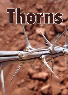 Thorns