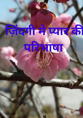 ज़िंदगी में प्यार की परिभाषा