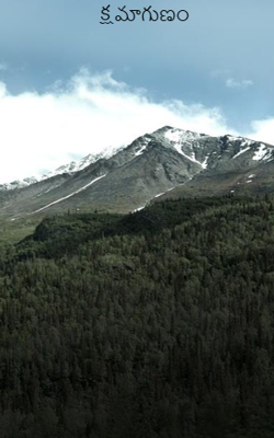 క్షమాగుణం