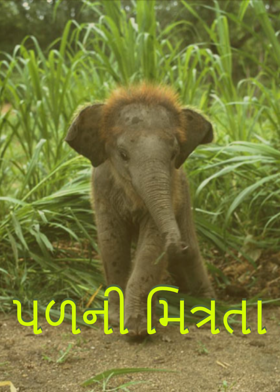 પળની મિત્રતા