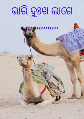 ଭାରି ଦୁଃଖ ଲାଗେ