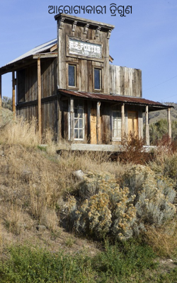 ଆରୋଗ୍ୟକାରୀ ତ୍ରିଗୁଣ