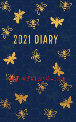 माझी छोटीशी डायरी - उद्रेक