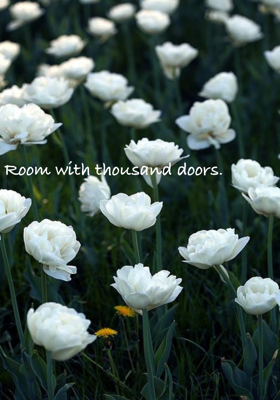 Room with thousand doors.