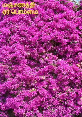 மஞ்சணத்தி ஏர் பொம்மை