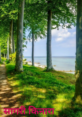 सागरी किनारा