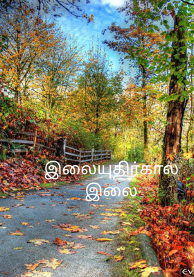 இலையுதிர்கால இலை