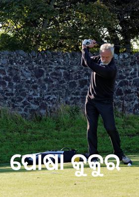 ପୋଷା କୁକୁର