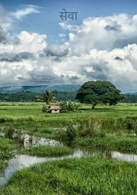 सेवा