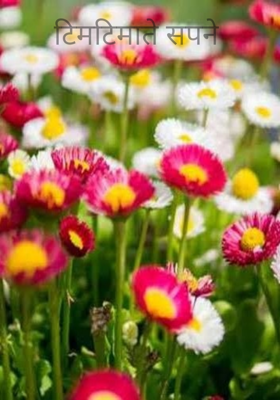 टिमटिमाते सपने