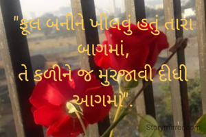 "ફૂલ બનીને ખીલવું હતું તારા બાગમાં,
તે કળીને જ મુરજાવી દીધી આગમાં".