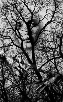 নিজাম সাহেবের ভূত