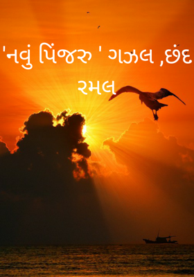 નવું પિંજરુ