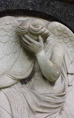 ମୋର ପରିଚୟ