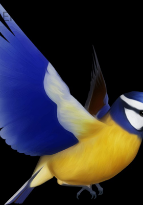 Emotions Are Like Birds..