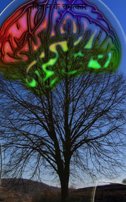 विज्ञान के चमत्कार