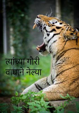 त्यांच्या गौरी वाघाने नेल्या