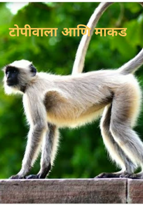 टोपीवाला आणि माकड