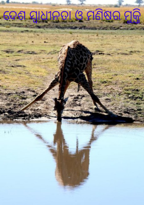 ଦେଶ ସ୍ୱାଧୀନତା ଓ ମଣିଷର ମୁକ୍ତି