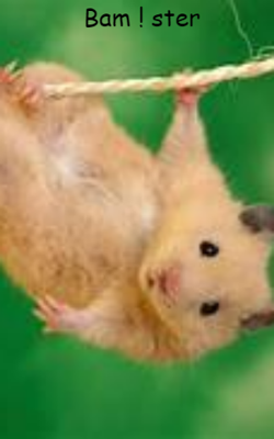 Bam!ster