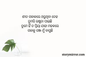 ଶୀତ ସକାଳରେ...