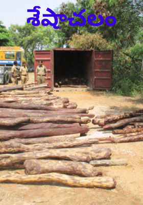 శేషాచలం