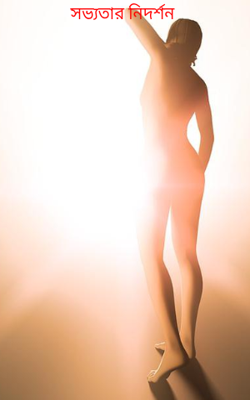 সভ্যতার নিদর্শন