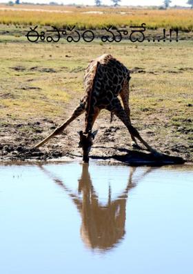 ఈపాపం మాదే...!!!