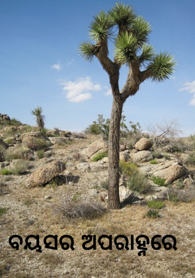 ବୟସର ଅପରାହ୍ନରେ