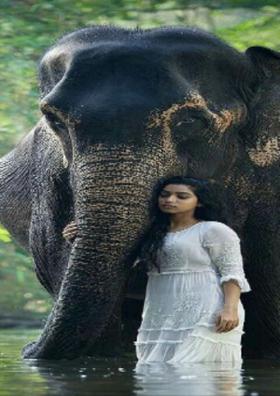 इक जानवर..