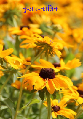 कुआर-कातिक 