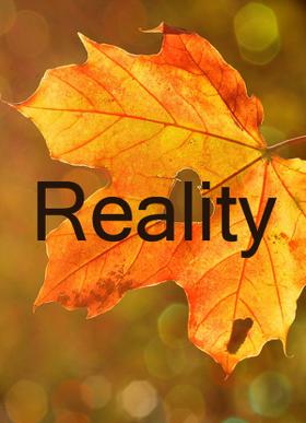 Reality