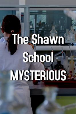 The Shawn School MYSTERIOUS