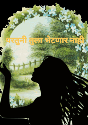परतुनी तुला भेटणार नाही