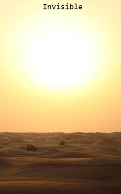 Invisible