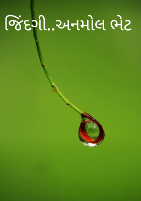 જિંદગી- અનમોલ ભેટ