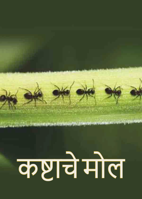 .. कष्टाचे मोल...