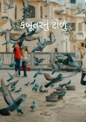 કબૂતરનું ટોળું
