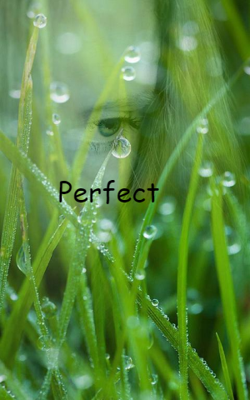 Perfect