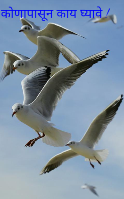 कोणापासून काय घ्यावे