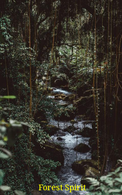 Forest Spirit